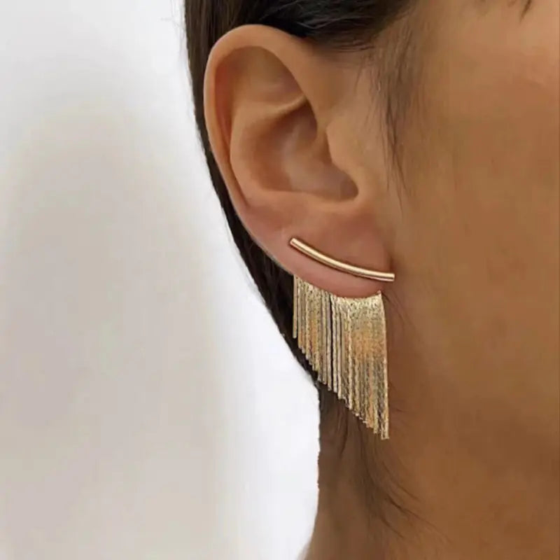 French Vintage Metal Tassel Earrings with Unique Design