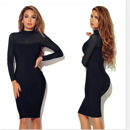 Long Sleeve Sheer Dress for Everyday Wear
