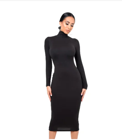 Long Sleeve Sheer Dress for Everyday Wear
